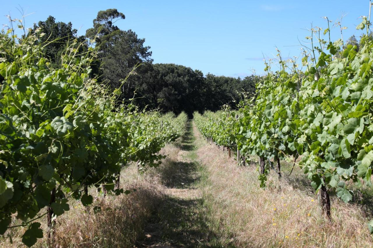 Quinta De Chousas - Braga - Agroturismo Dış mekan fotoğraf