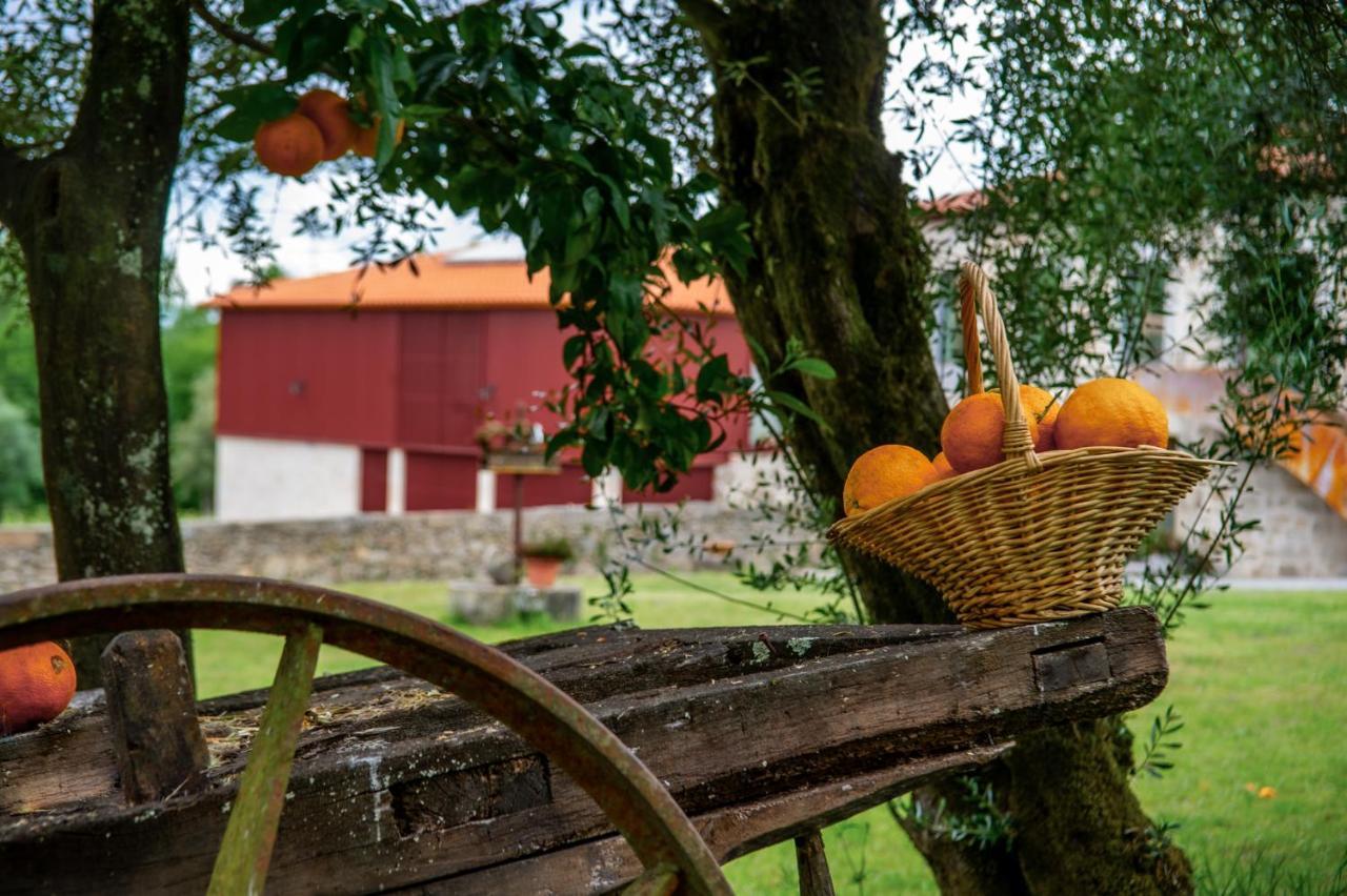 Quinta De Chousas - Braga - Agroturismo Dış mekan fotoğraf