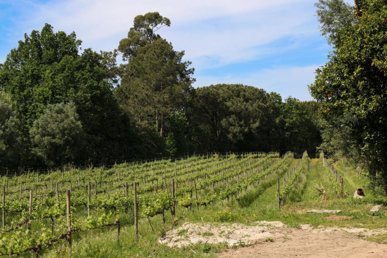 Quinta De Chousas - Braga - Agroturismo Dış mekan fotoğraf